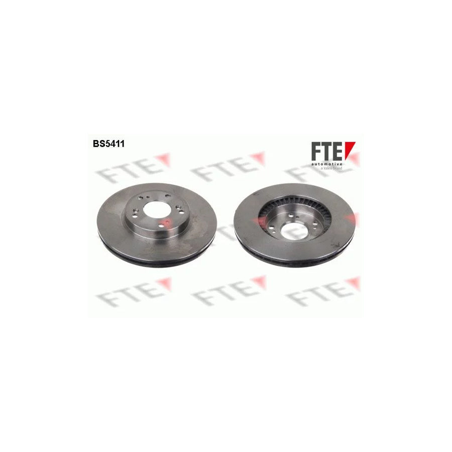 FTE Bs5411 Brake Disc