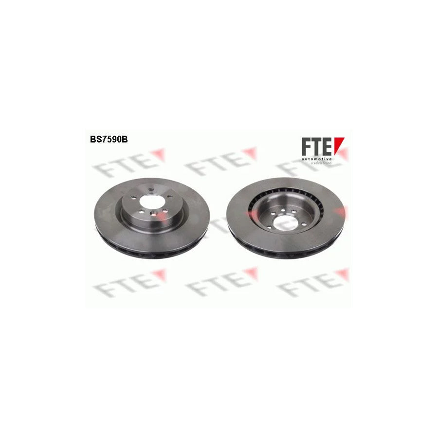 FTE Bs7590B Brake Disc