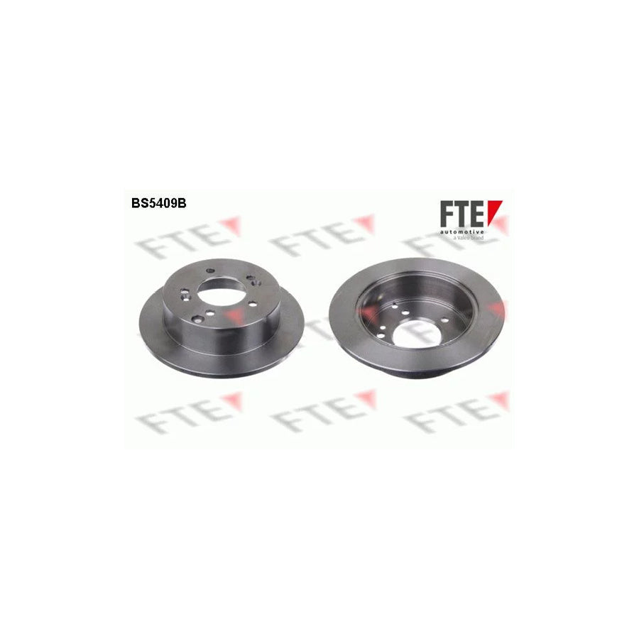 FTE Bs5409B Brake Disc