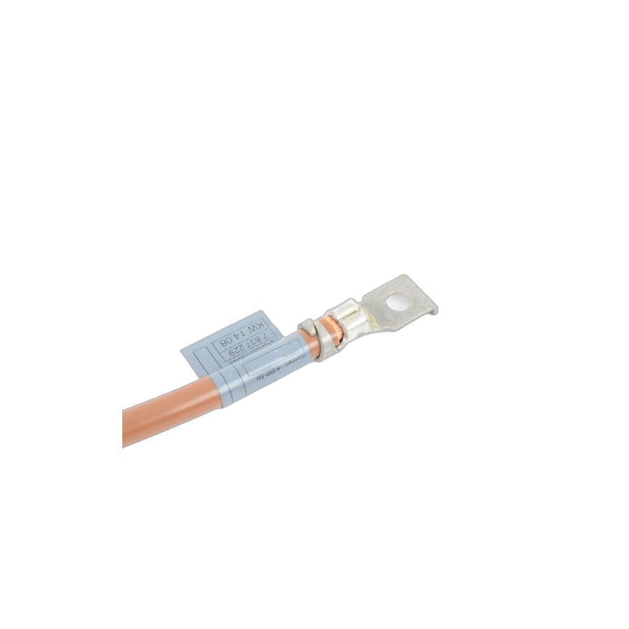 Genuine BMW 61127837229 E85 E86 Battery Cable Negative (Inc. Z4 M3.2) | ML Performance UK Car Parts
