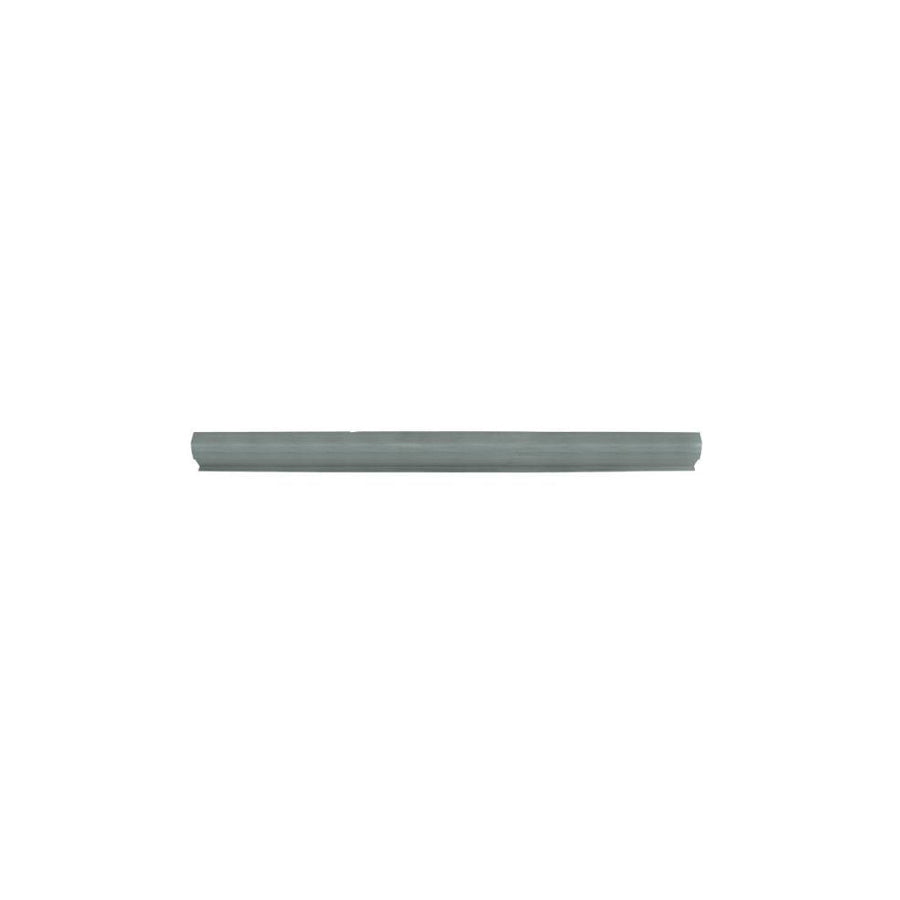 Blic 6505-06-6056010P Rocker Panel For Renault Laguna