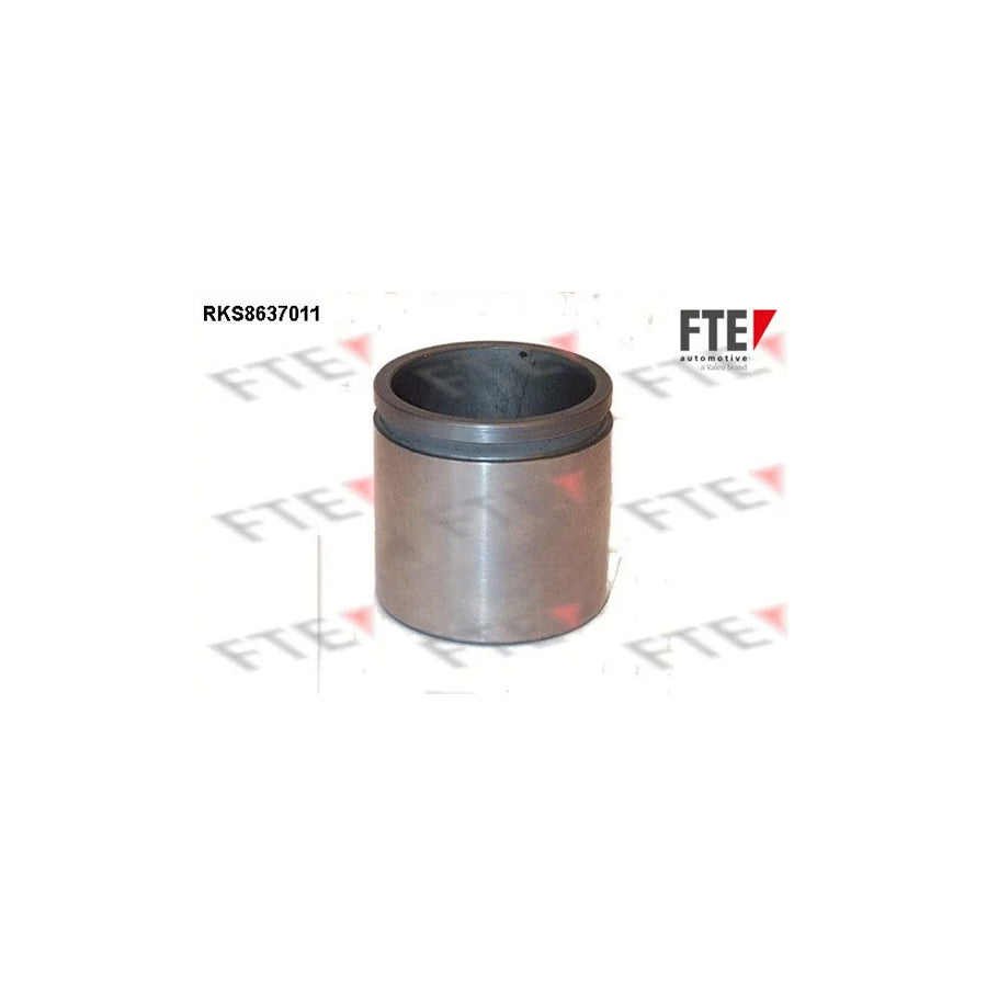 FTE 9313064 Piston, Brake Caliper