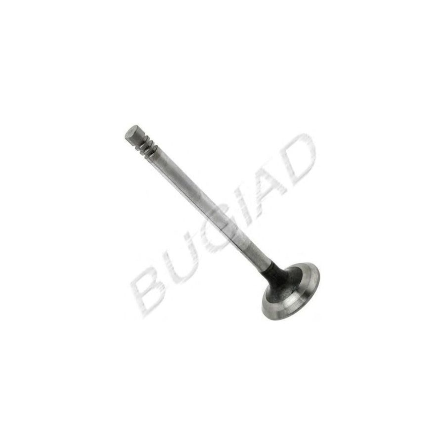 BUGIAD Bsp21773 Inlet Valve for Skoda Fabia