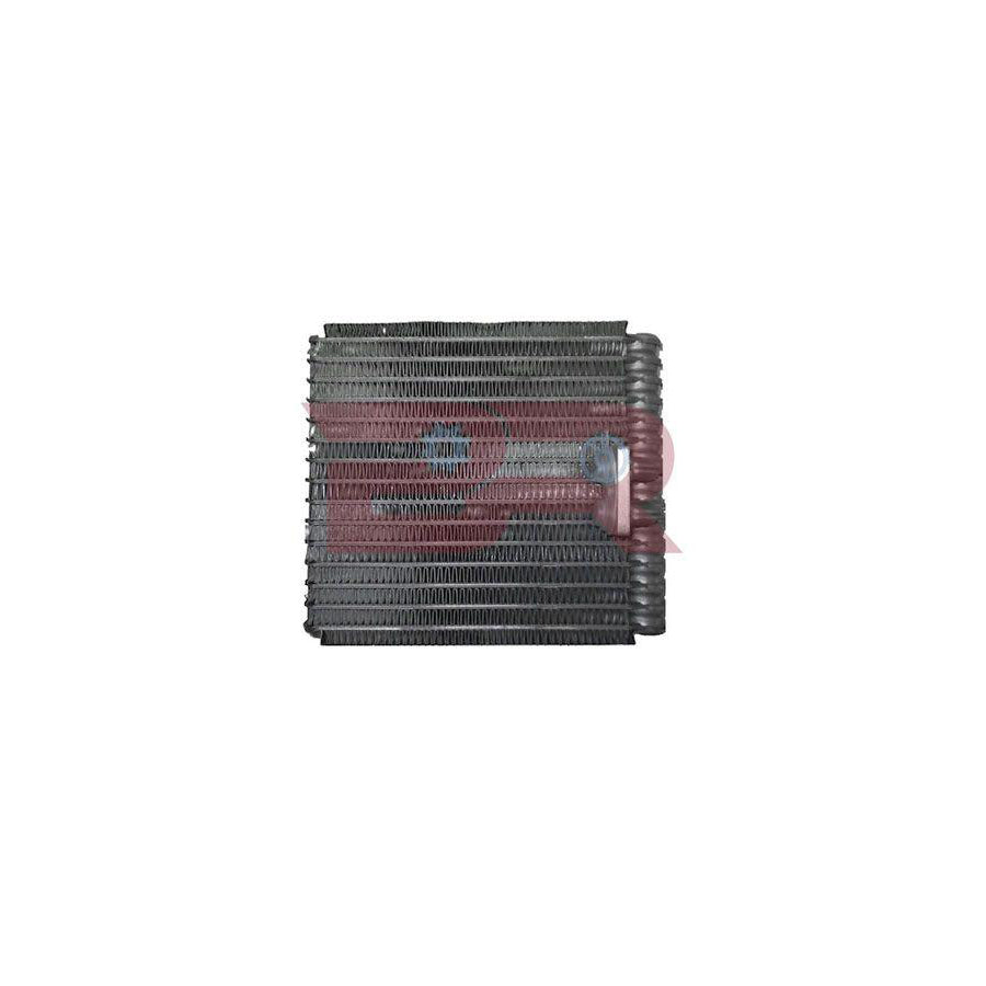 Botto Ricambi Brac5777 Air Conditioning Evaporator for Iveco Daily