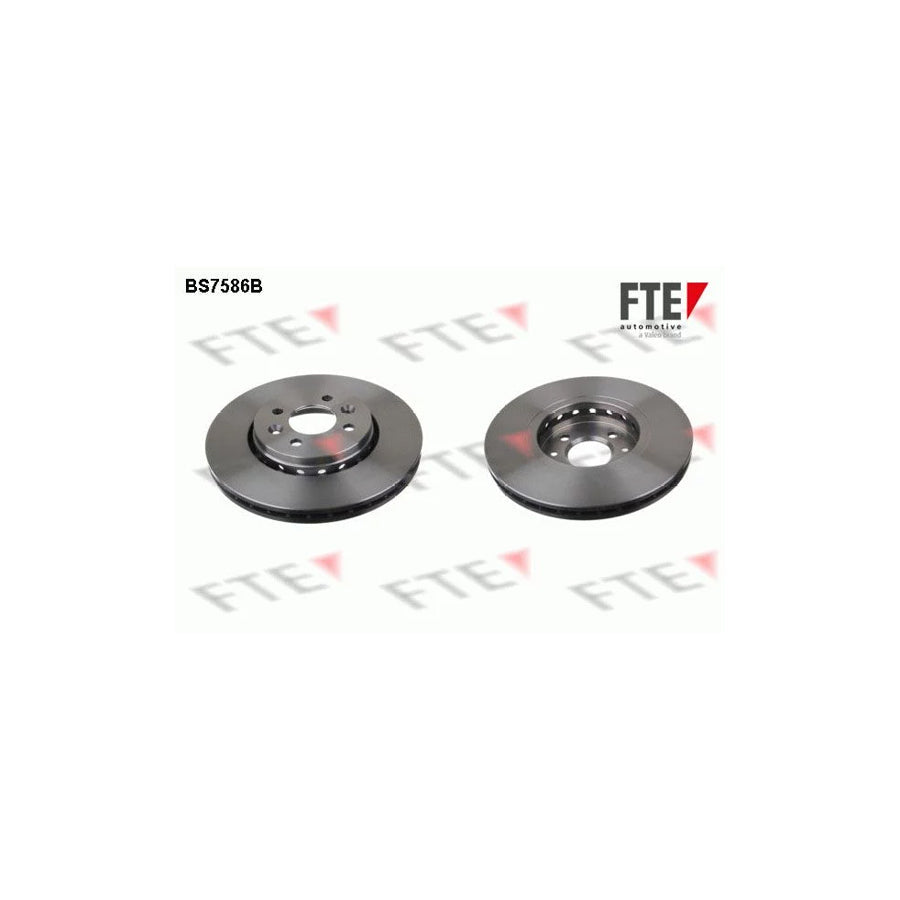 FTE Bs7586B Brake Disc