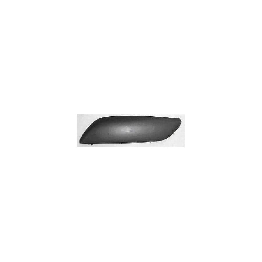 Abakus 03820531 Bumper Moulding for Peugeot 207