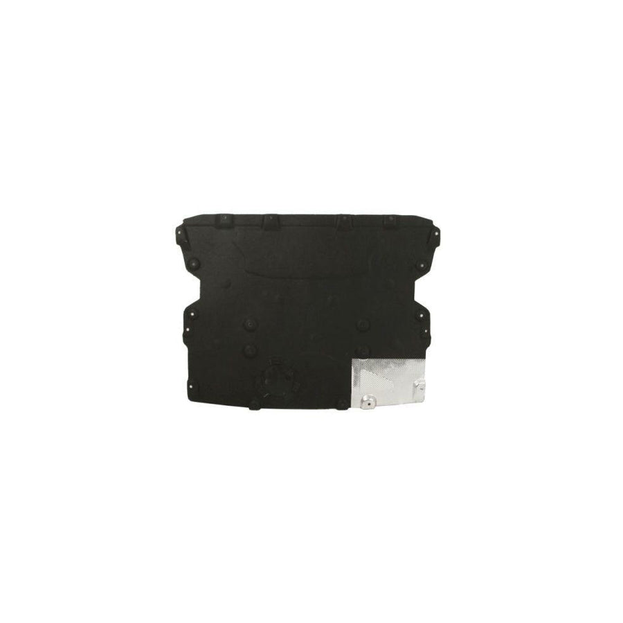 Blic 6601-02-0097861P Skid Plate
