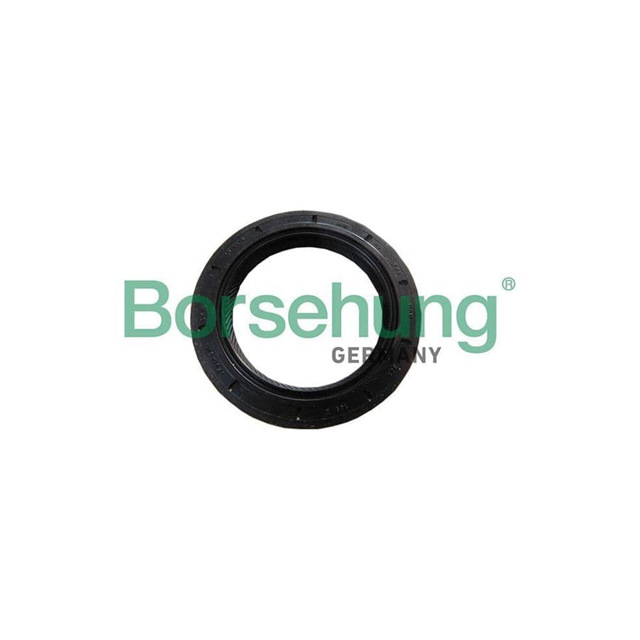 Borsehung B18791 Shaft Seal, Manual Transmission Flange