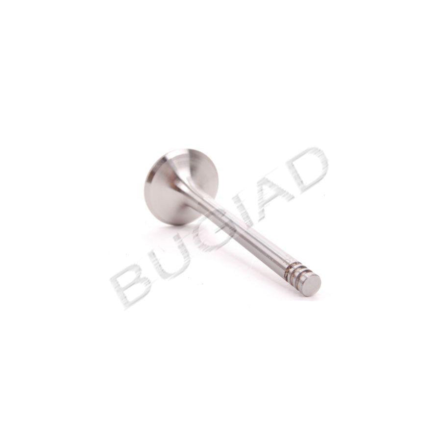 BUGIAD Bsp21768 Exhaust Valve