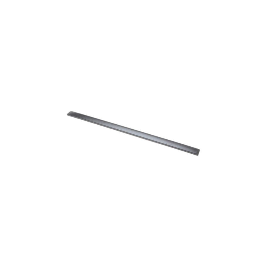 Genuine BMW 51137903859 E70 Molding, Door, Primed, Rear Left (Inc. X5) | ML Performance US Car Parts