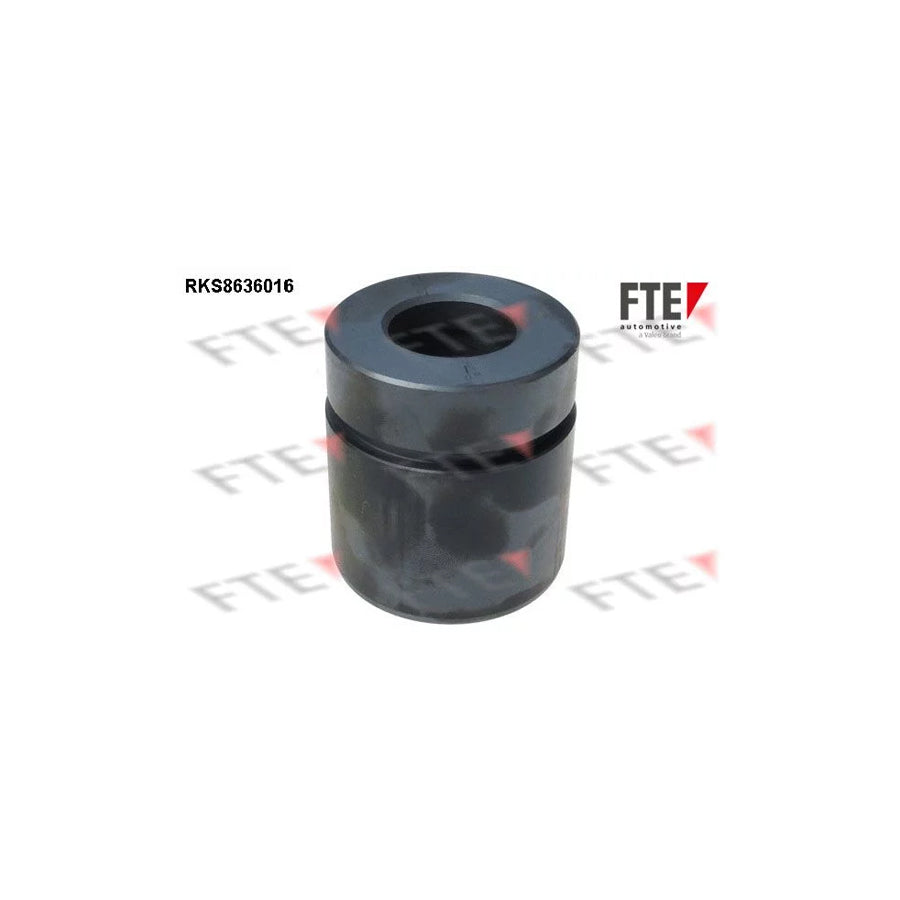 FTE 9313056 Piston, Brake Caliper