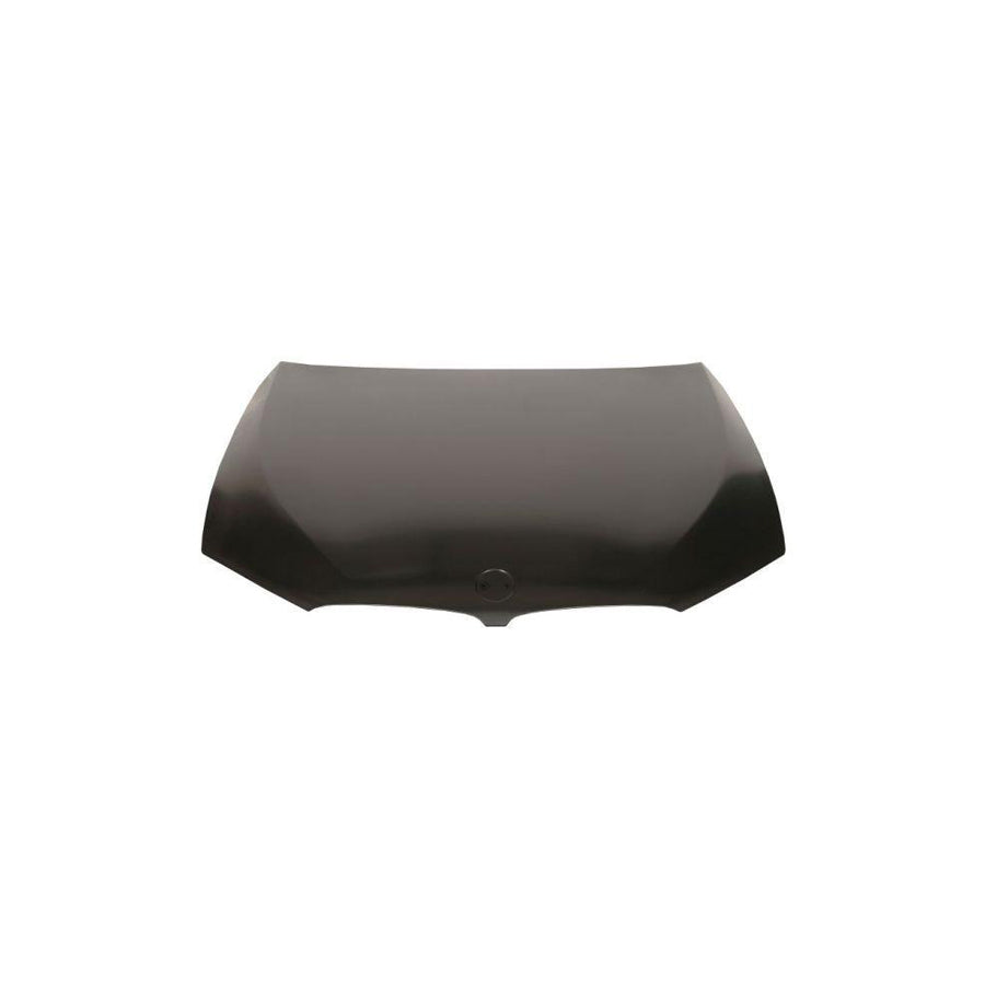 Blic 6803-00-0068281P Bonnet For BMW 5 Series