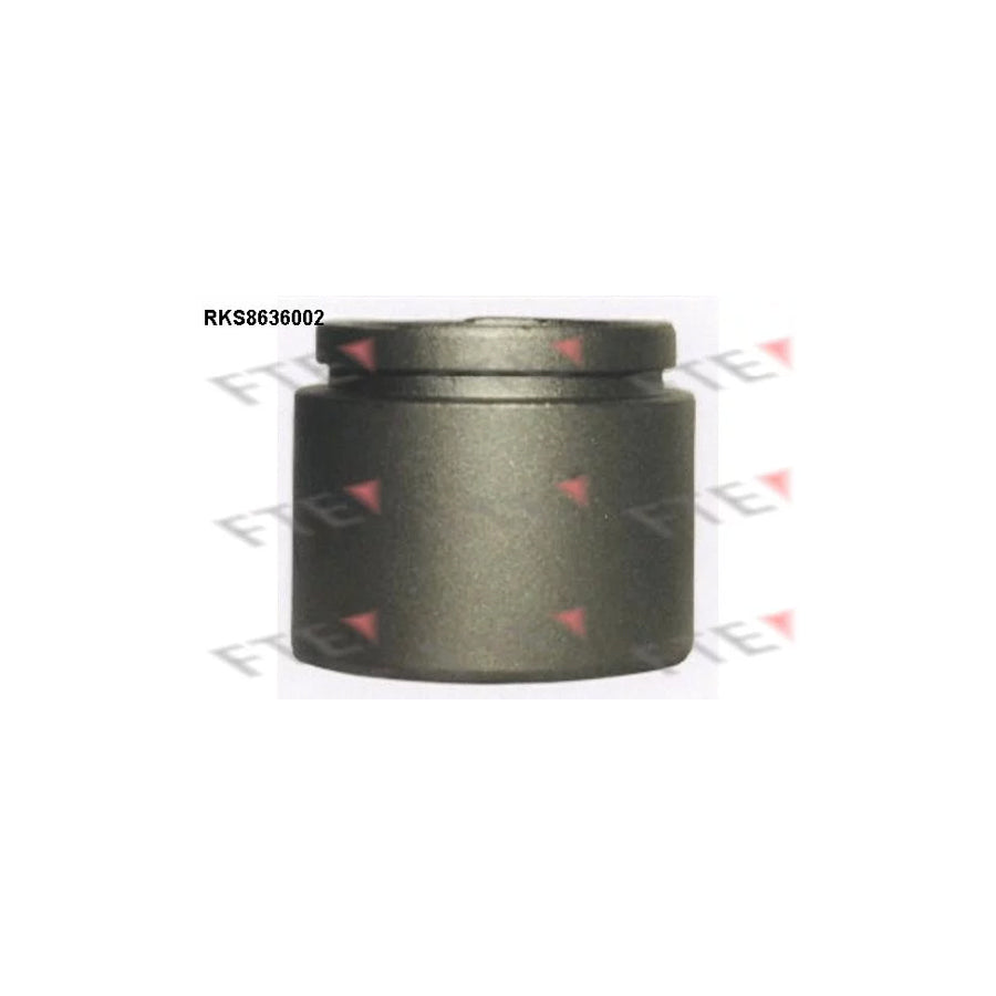 FTE 9313053 Piston, Brake Caliper