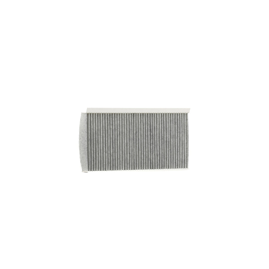 Delphi Tsp0325296C Pollen Filter