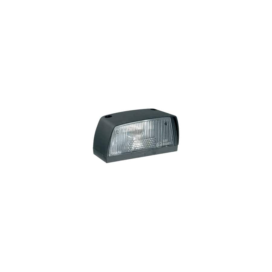 RING RCT780 Number Plate Lamp  - Black (Large) (Inc Bulb)