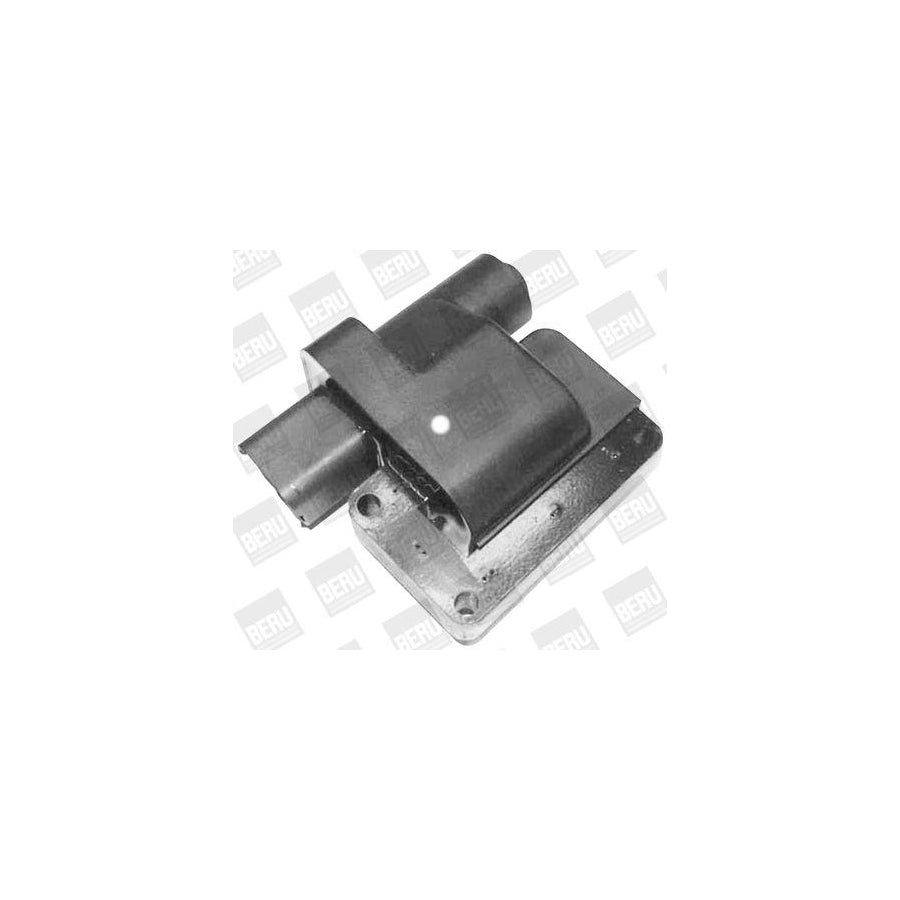 Beru Zs418 Ignition Coil