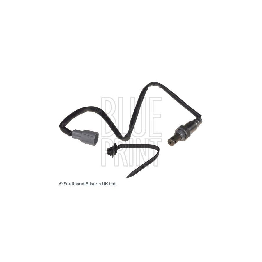 Blue Print Adt388403 Coil Spring for Lexus Is II Saloon (Xe20)