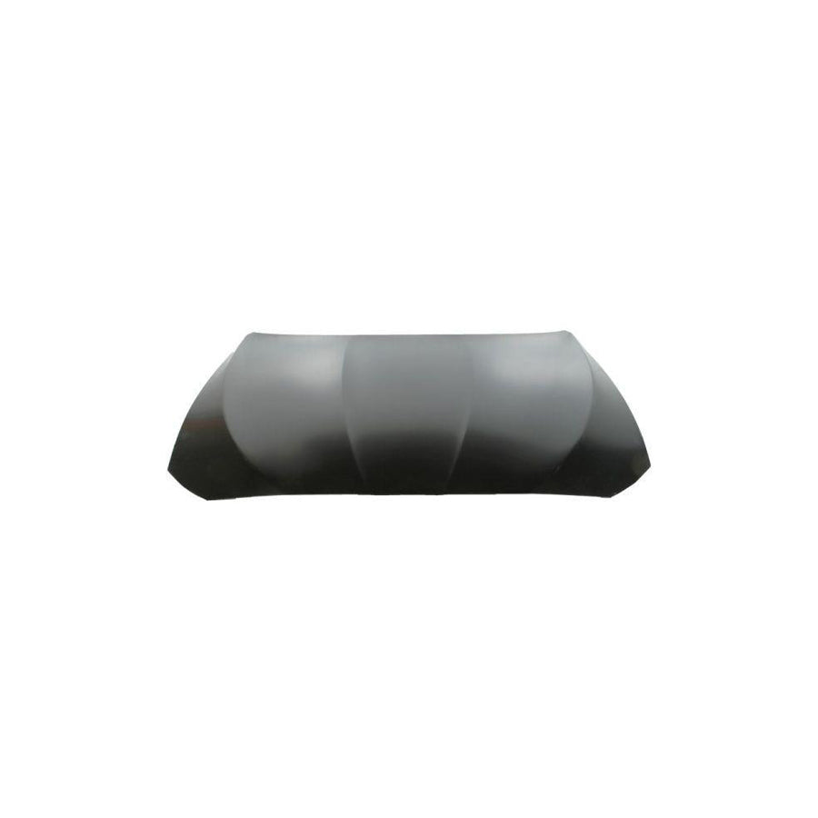 Blic 6803-00-0067280Aq Bonnet For BMW 5 Series