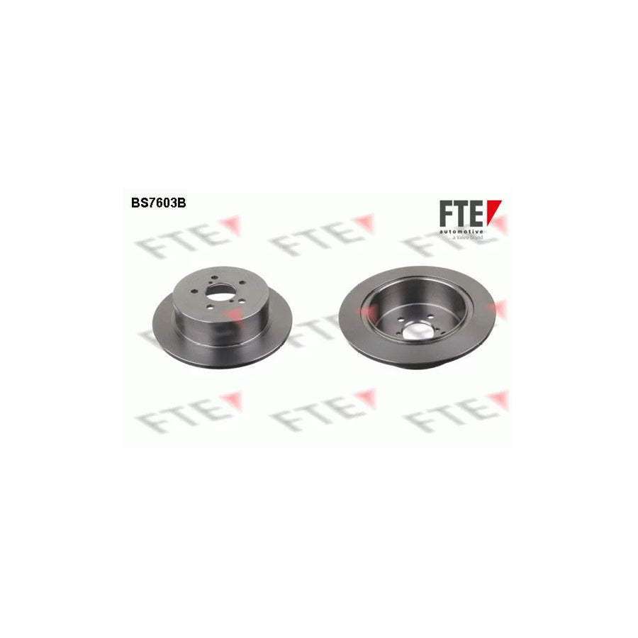 FTE Bs7603B Brake Disc