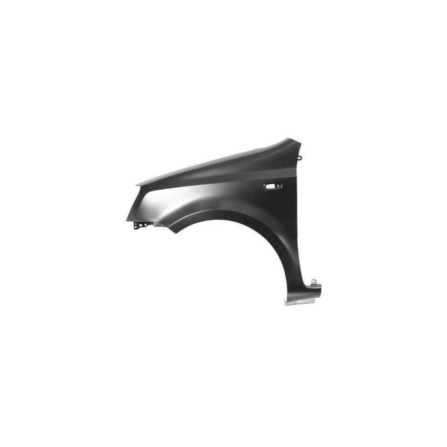 Blic 6504-04-2008311P Wing Fender For Fiat Panda II Hatchback (169)