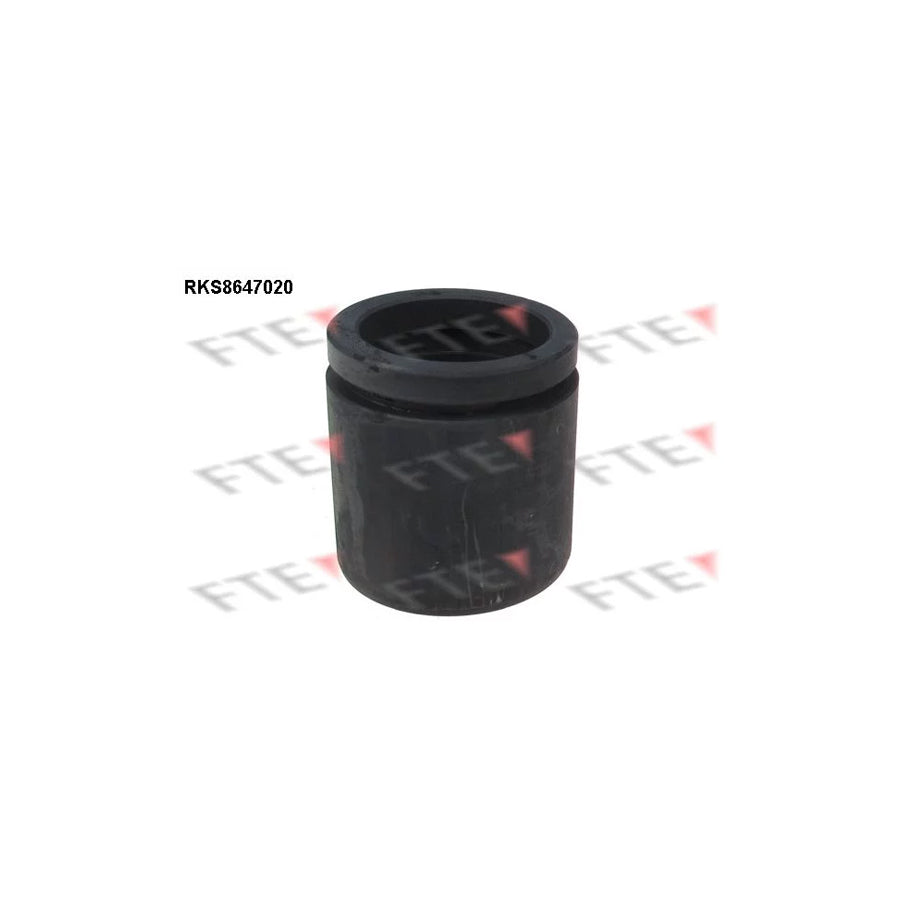 FTE 9313080 Piston, Brake Caliper