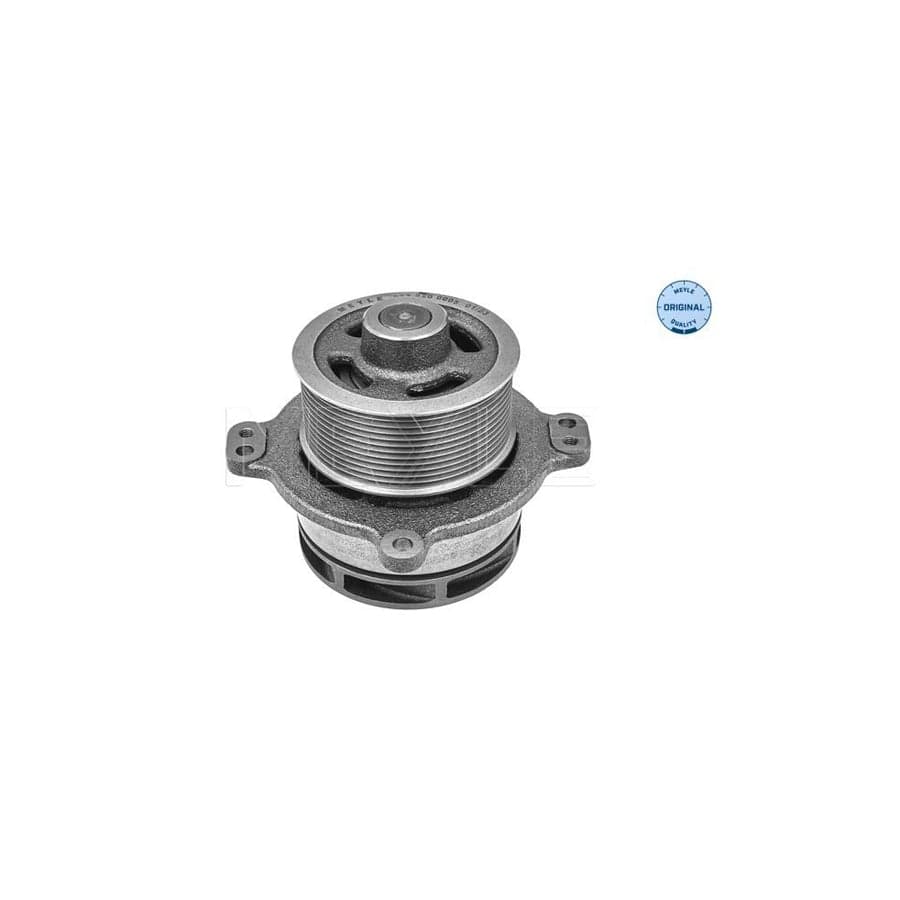 Meyle 233 220 0005 Water Pump