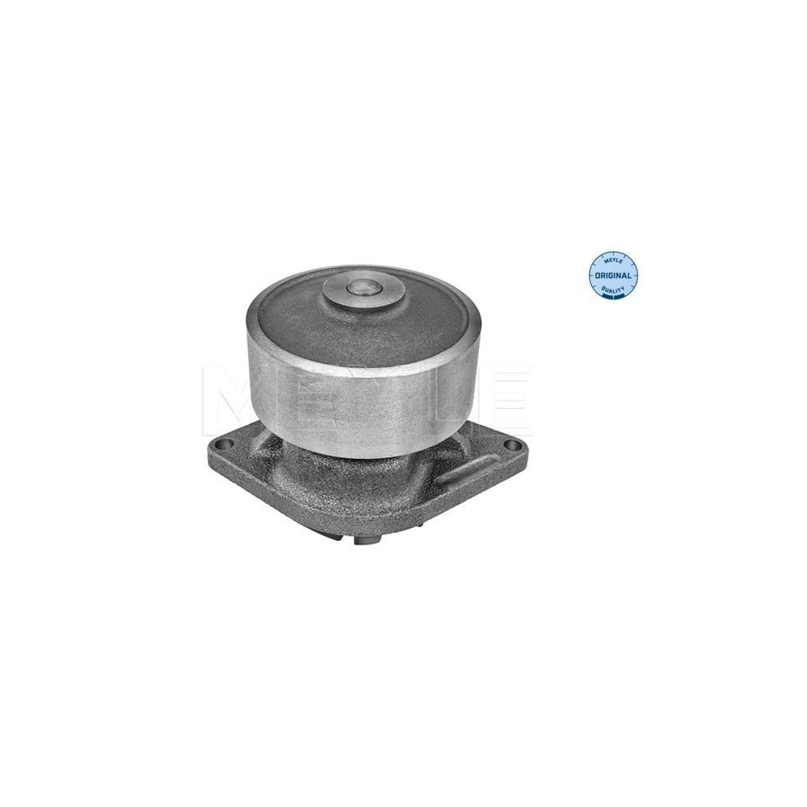 Meyle 233 220 0003 Water Pump