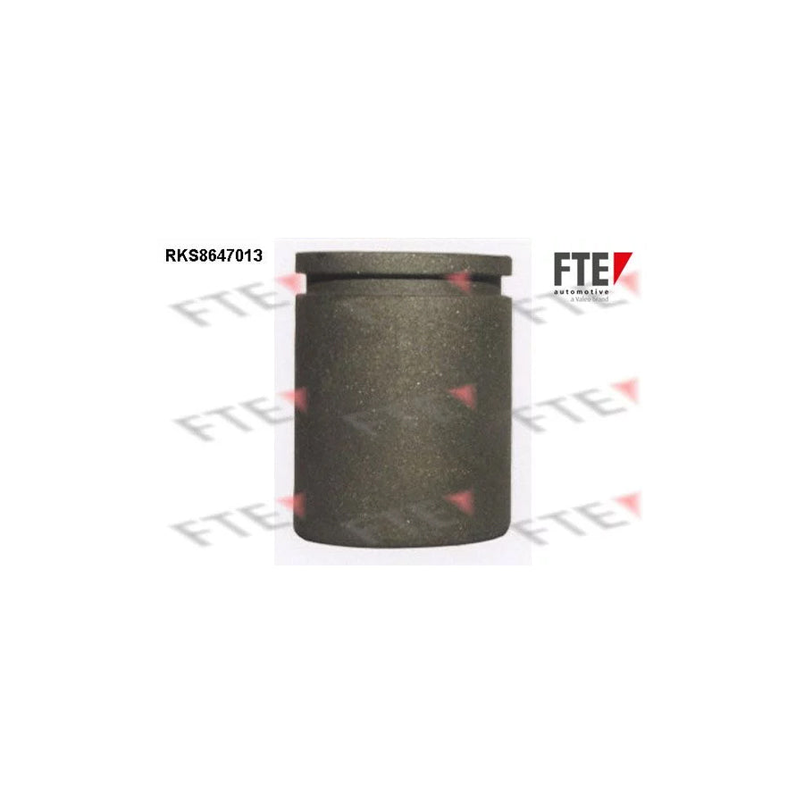 FTE 9313076 Piston, Brake Caliper