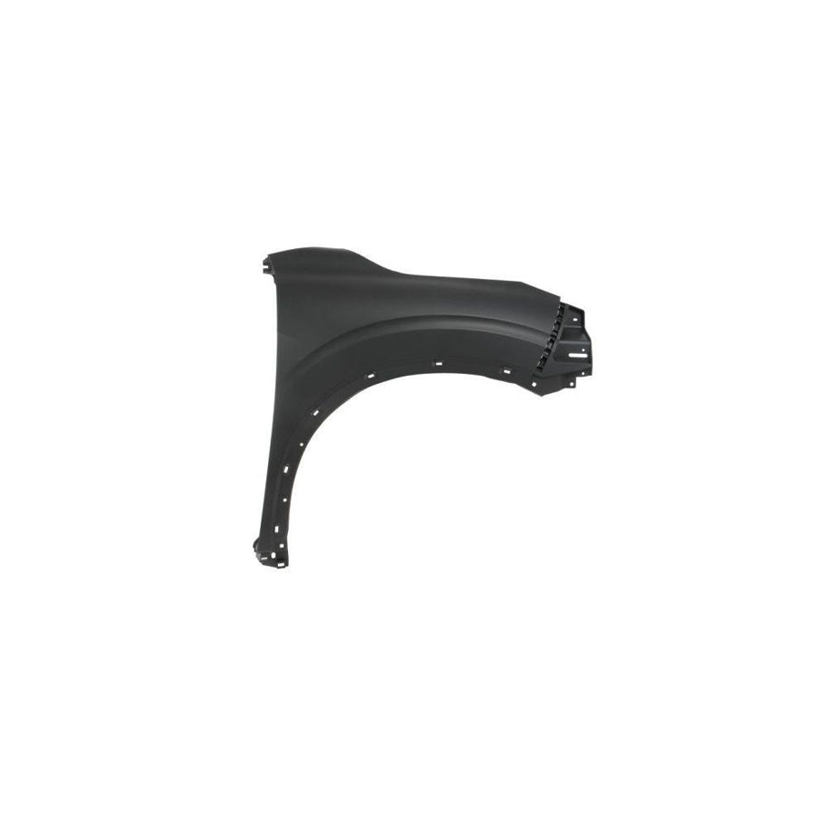 Blic 6504-04-3756312P Wing Fender