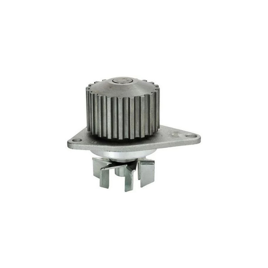 Denckermann A310029P Water Pump