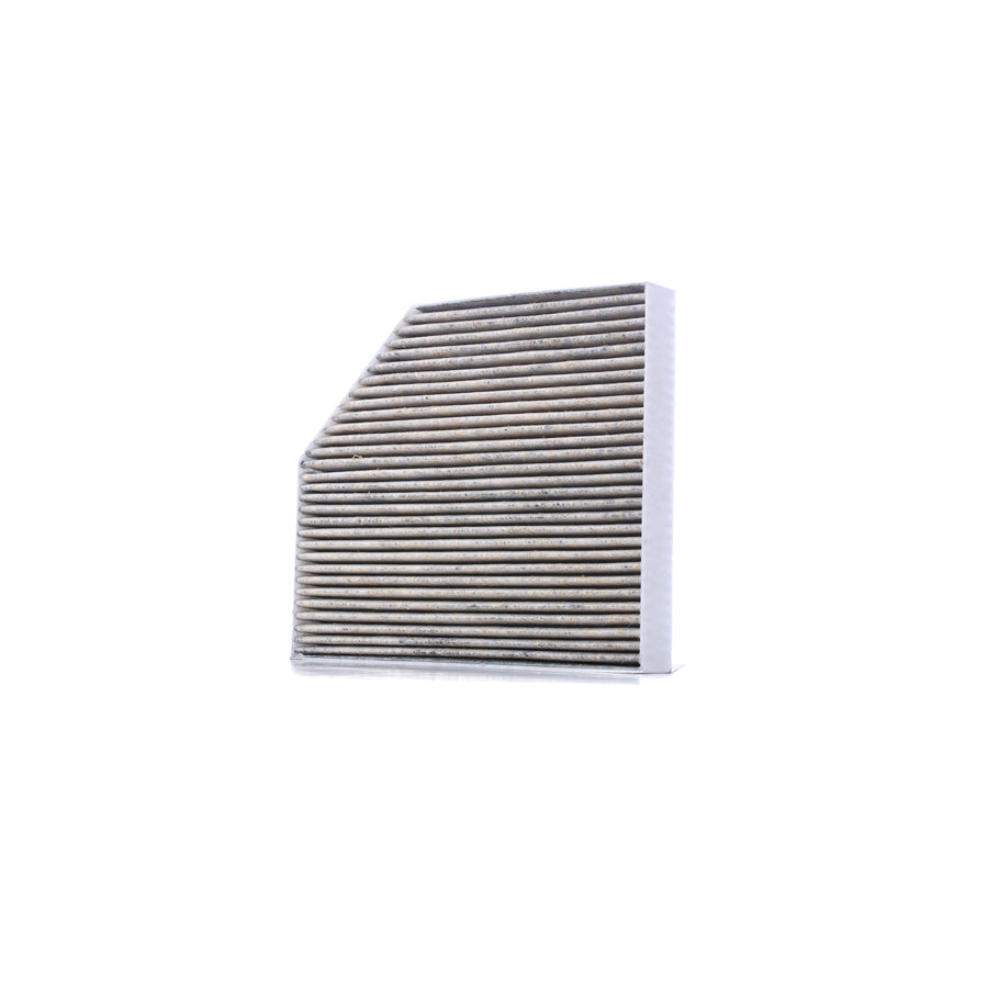 Master Sport 2450-IFB-PCS-Ms Pollen Filter