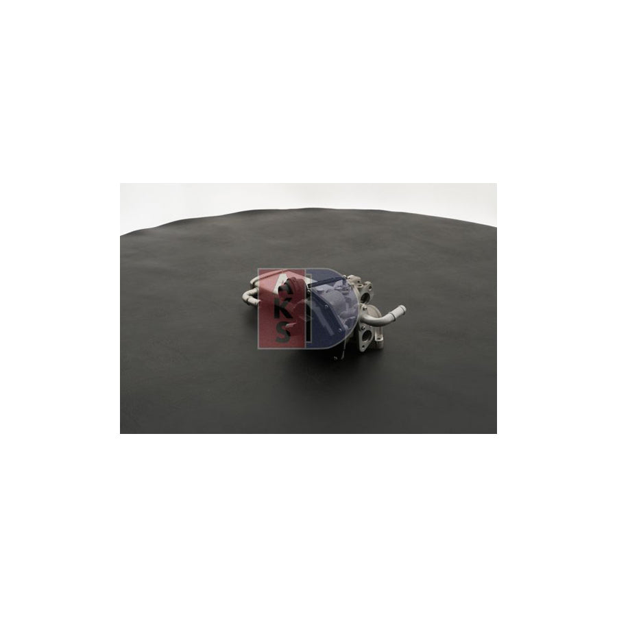 AKS Dasis 040066N Egr Module