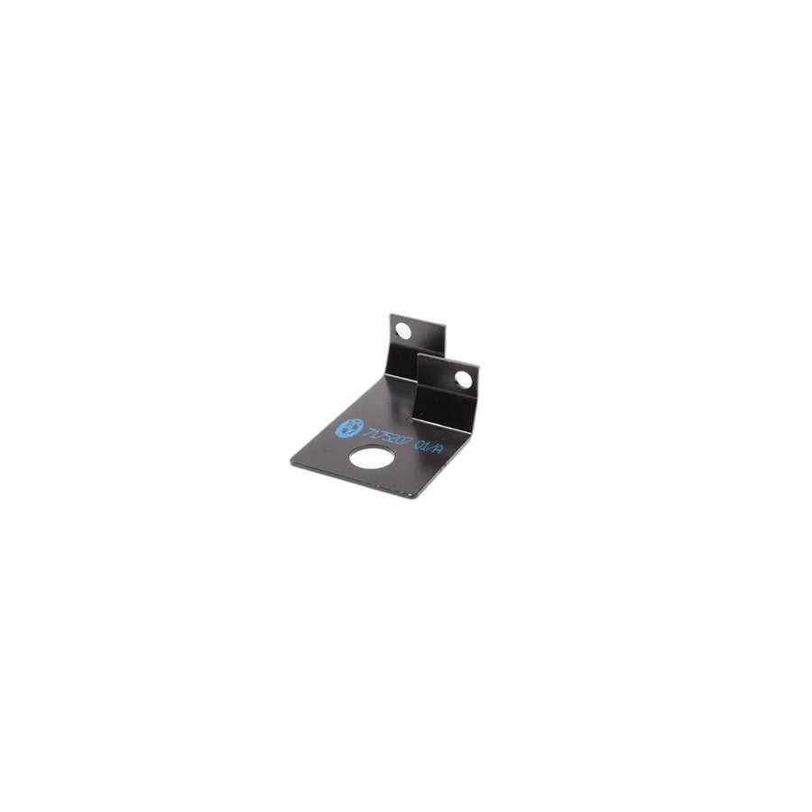Genuine BMW 63117175207 E90 E91 Repair Clip, Zkw, Exterior Left (Inc. 320d ed, 316i & 318i) | ML Performance US Car Parts