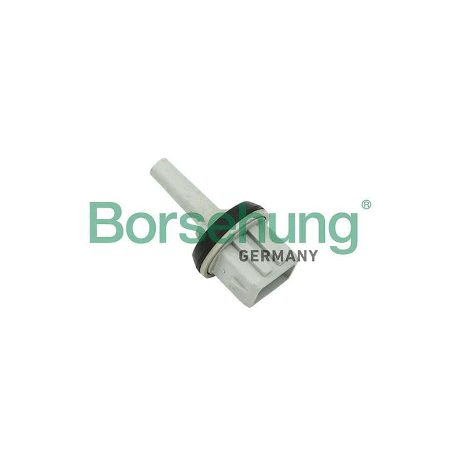 Borsehung B11449 Sender Unit, Interior Temperature