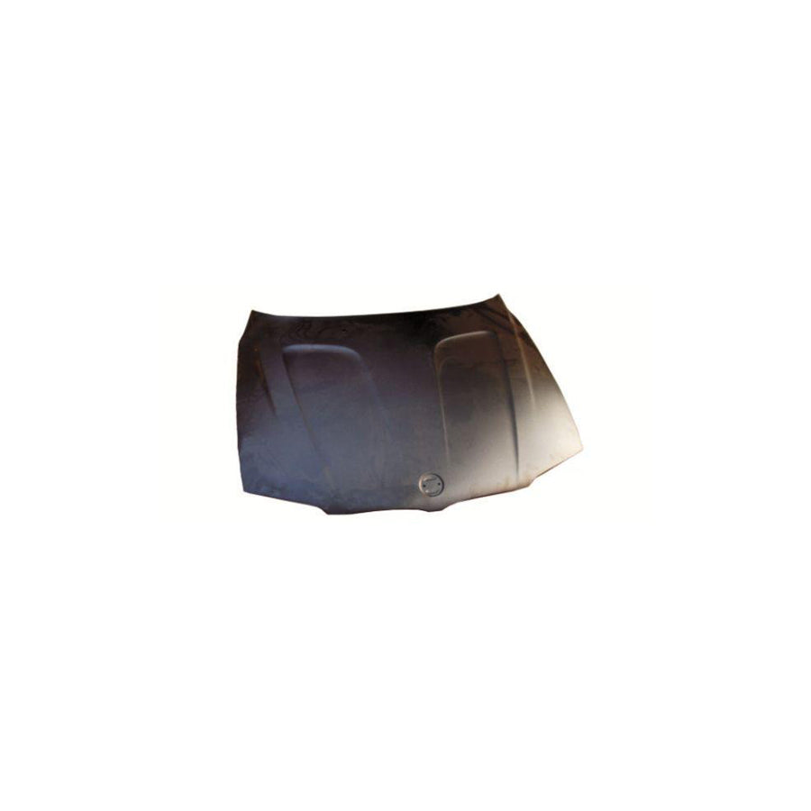 Blic 6803-00-0093280P Bonnet For BMW X3 (E83)