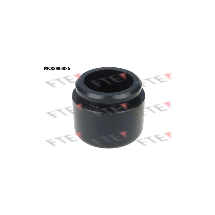 FTE 9313098 Piston, Brake Caliper