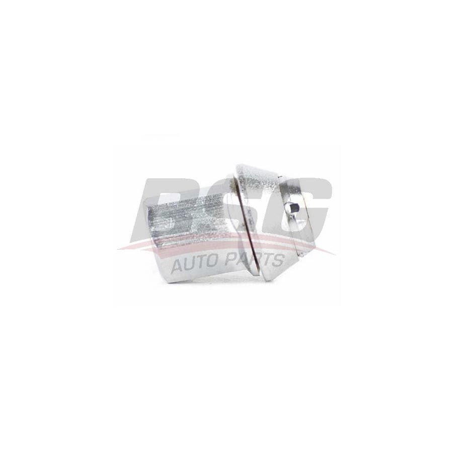 BSG BSG 30-230-024 Wheel Nut
