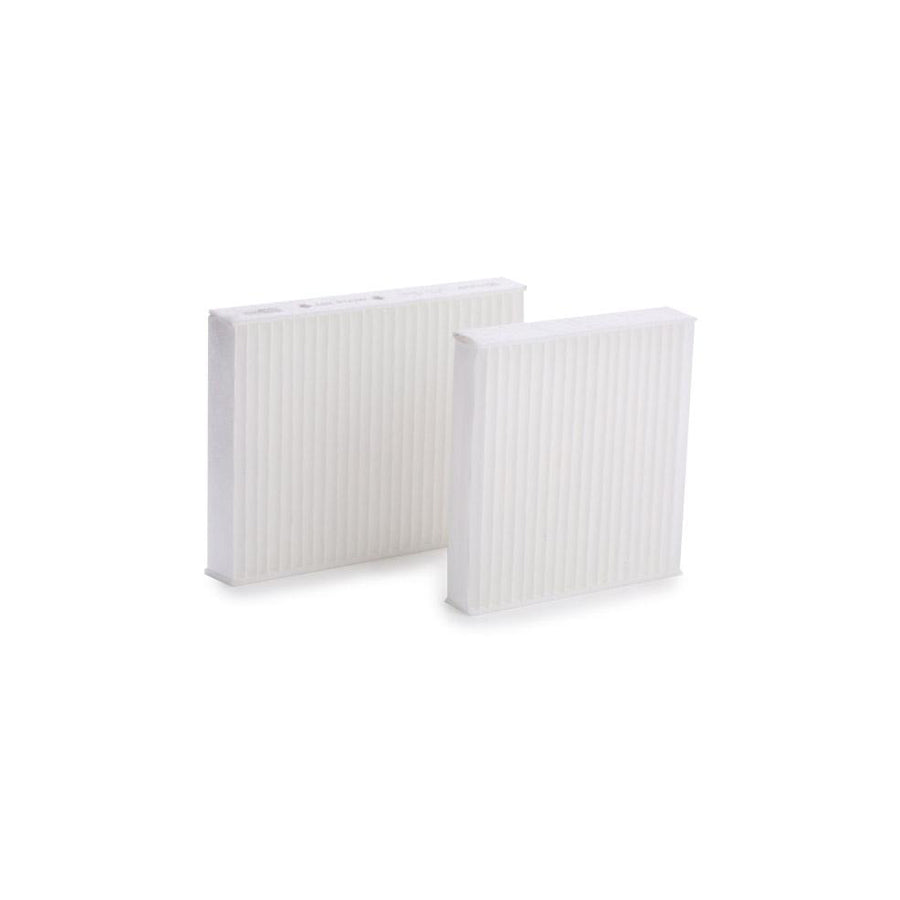 CHAMPION CCF0120 Pollen Filter