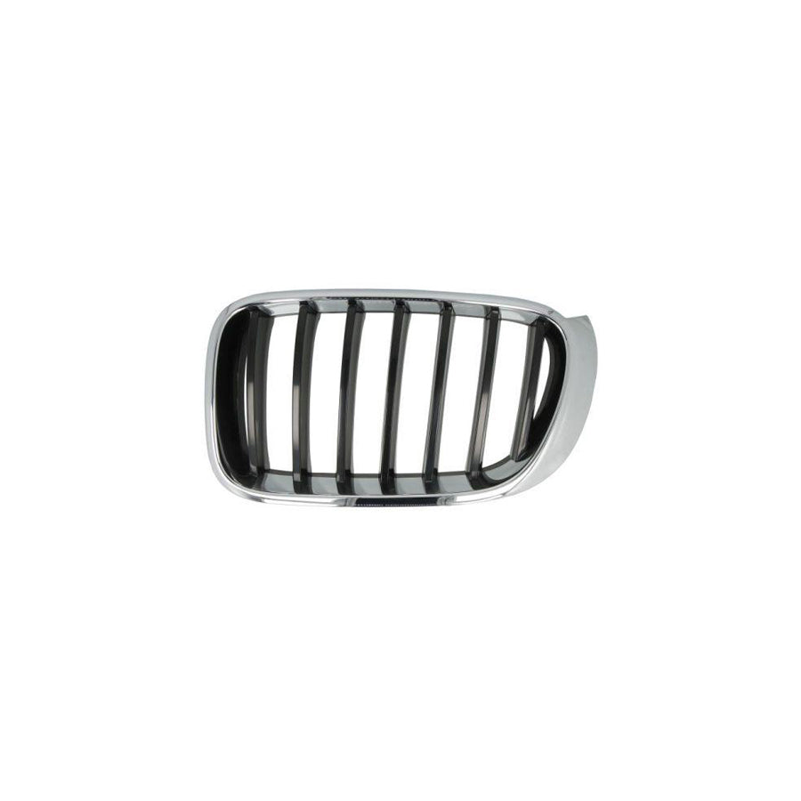 Blic 6502-07-9587991P Radiator Grille