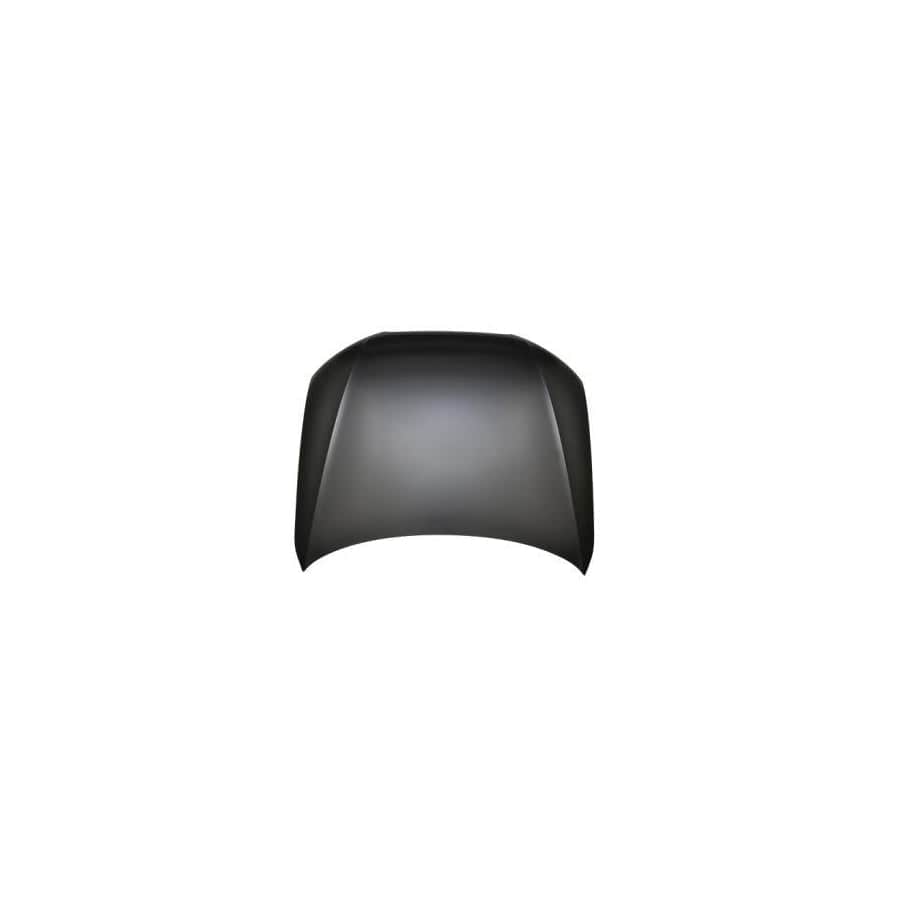 Abakus 00326100 Bonnet for Audi A4