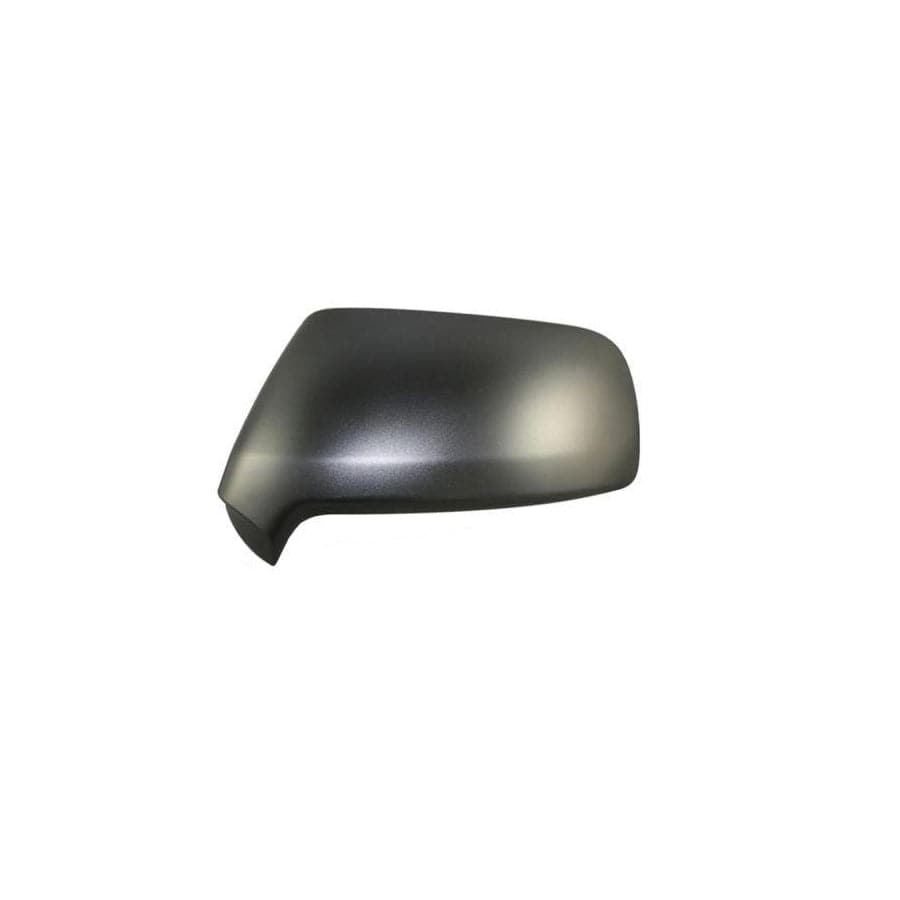 Abakus 2944C01 Cover, Outside Mirror