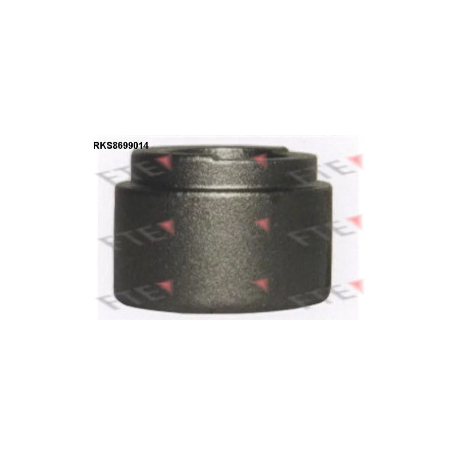 FTE 9313092 Piston, Brake Caliper