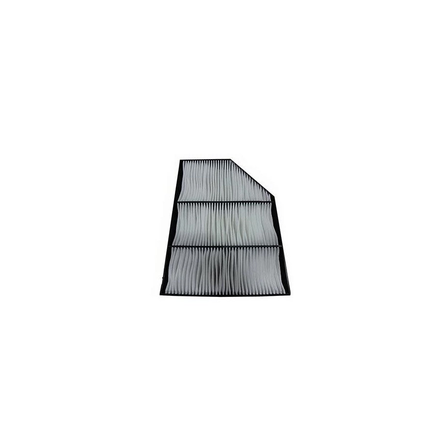 Fleetguard Af55765 Pollen Filter
