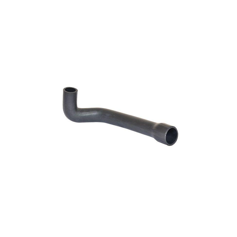 BUGIAD 88651 Charger Intake Hose for Fiat Doblo