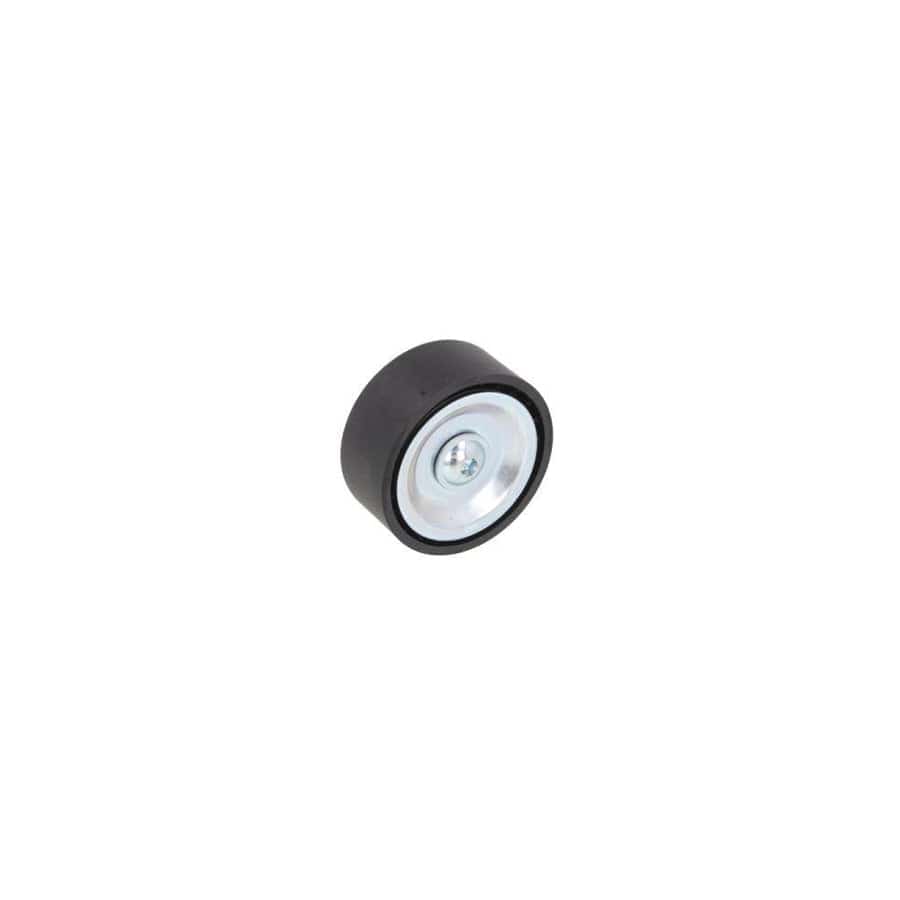 BTA E2B0057BTA Deflection / Guide Pulley, V-Ribbed Belt
