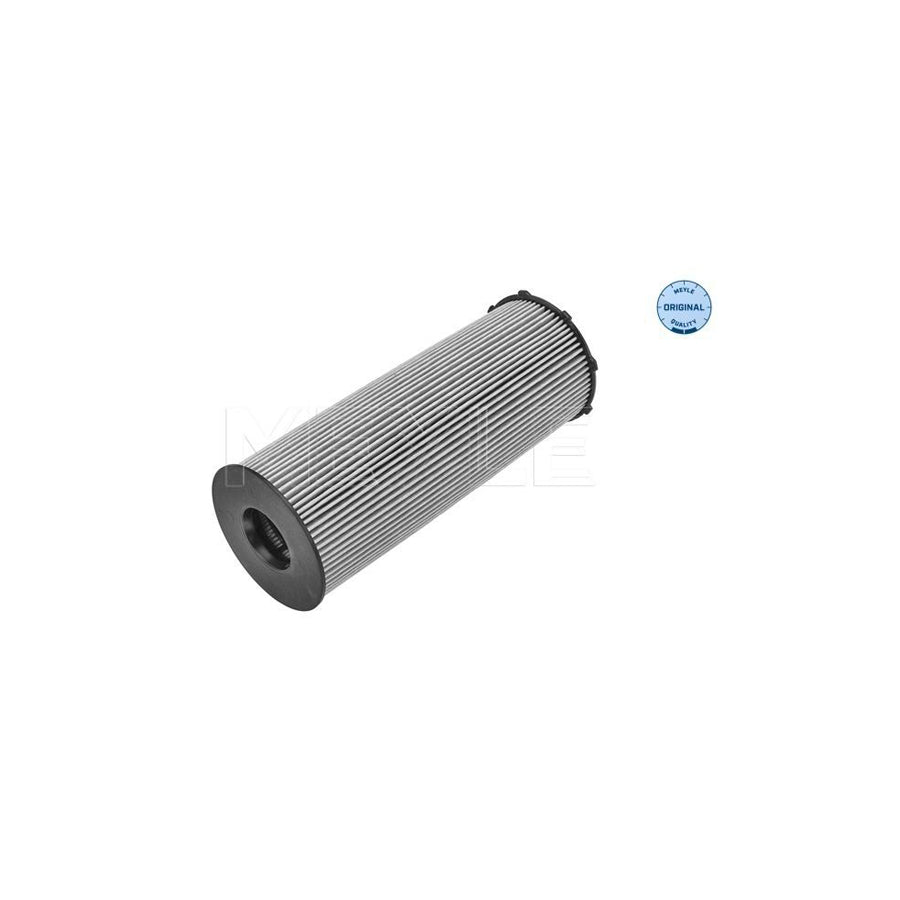 Meyle 100 322 0025 Oil Filter