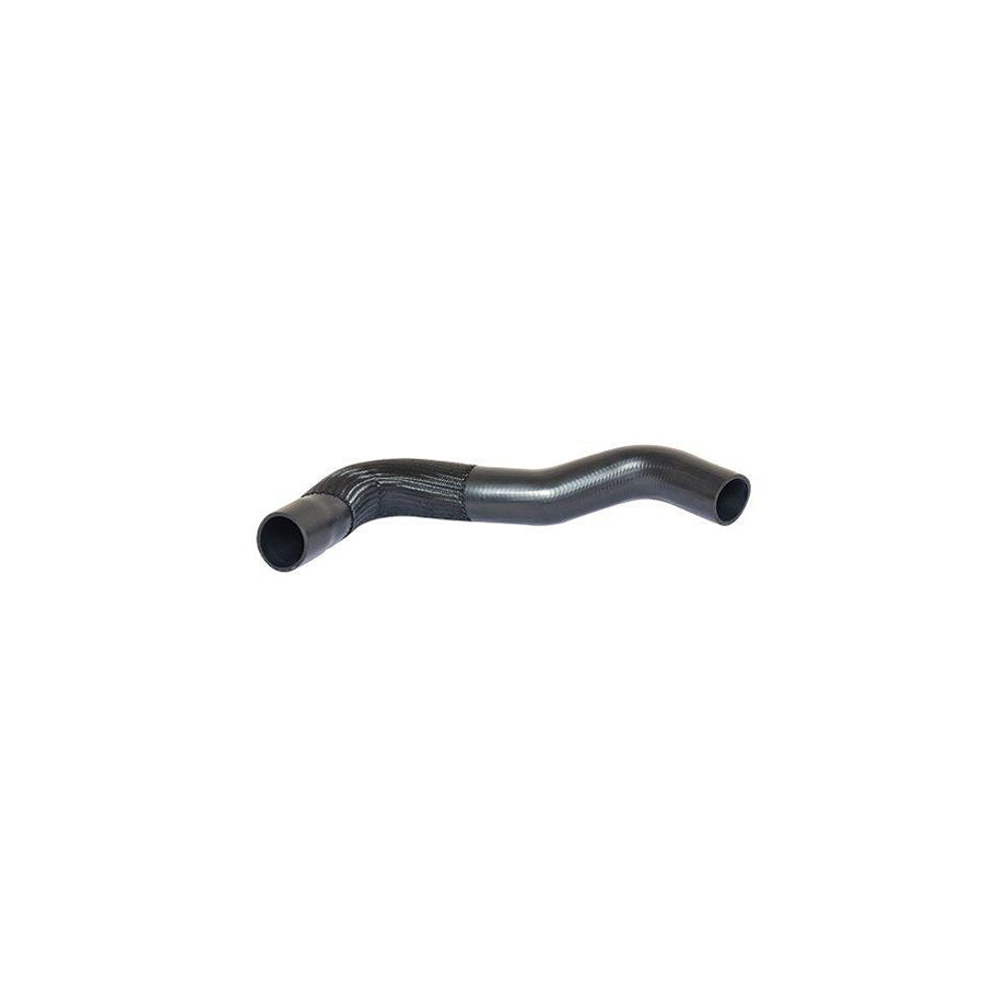 BUGIAD 88647 Charger Intake Hose for Fiat Ducato