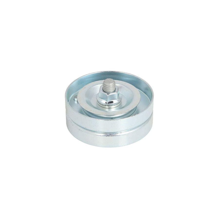 BTA E2B0055BTA Tensioner Pulley