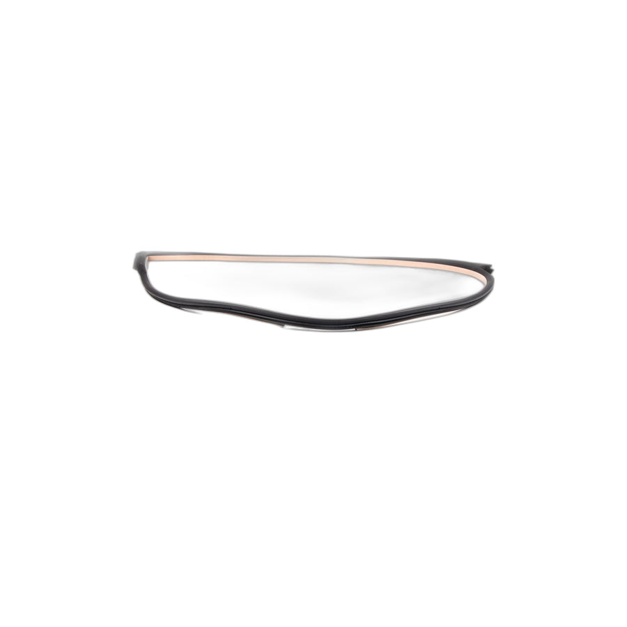 Genuine BMW 51767140642 E63 Edge Protection Right CREAMBEIGE (Inc. 635d, 645Ci & 630i) | ML Performance US Car Parts