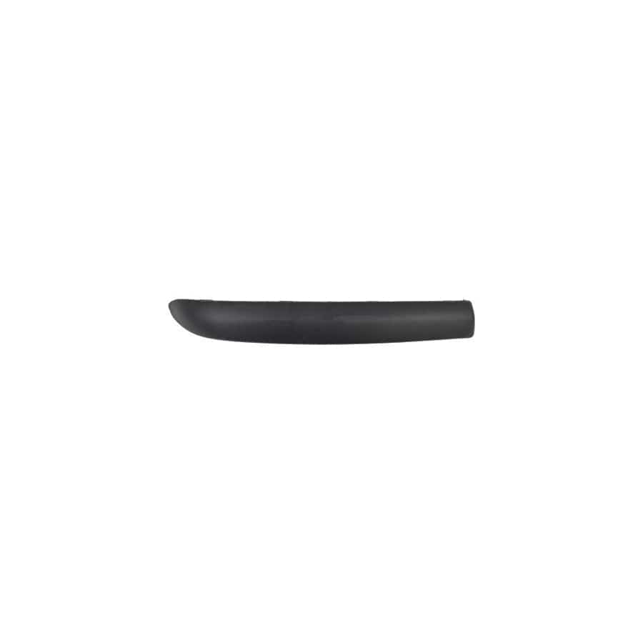 Abakus 01618533 Bumper Moulding for Fiat Punto II Hatchback (188)